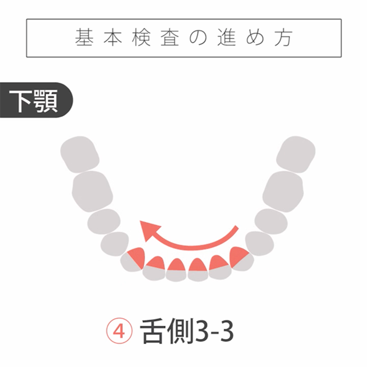 基本検査 基礎編 04.検査手順