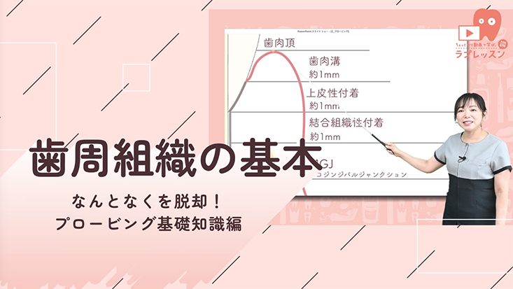 なんとなくを脱却！プロービング基礎知識編 01.歯周組織の基本