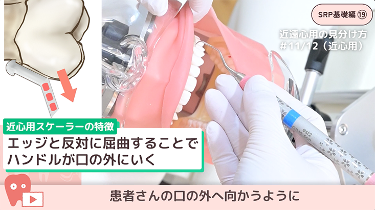 苦手をなくそうSRP