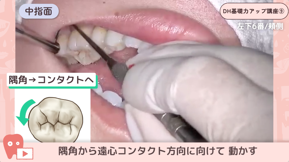 サクッと学ぶDH基礎力アップ講座"
