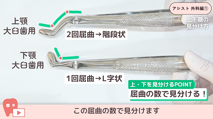 01.抜歯用鉗子の見分け方